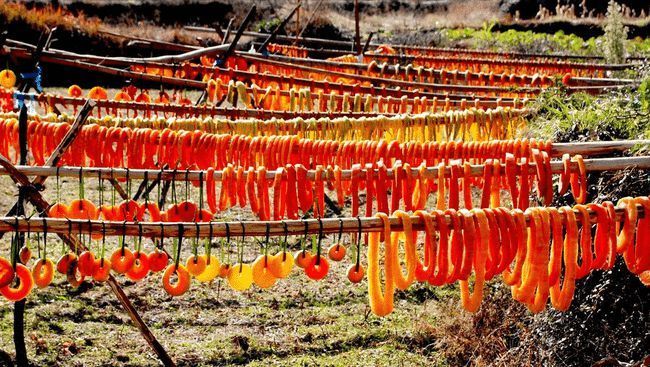 苦瓜|这8种蔬菜晒干后，比新鲜的好吃太多，炒菜炖肉加一点，香味扑鼻