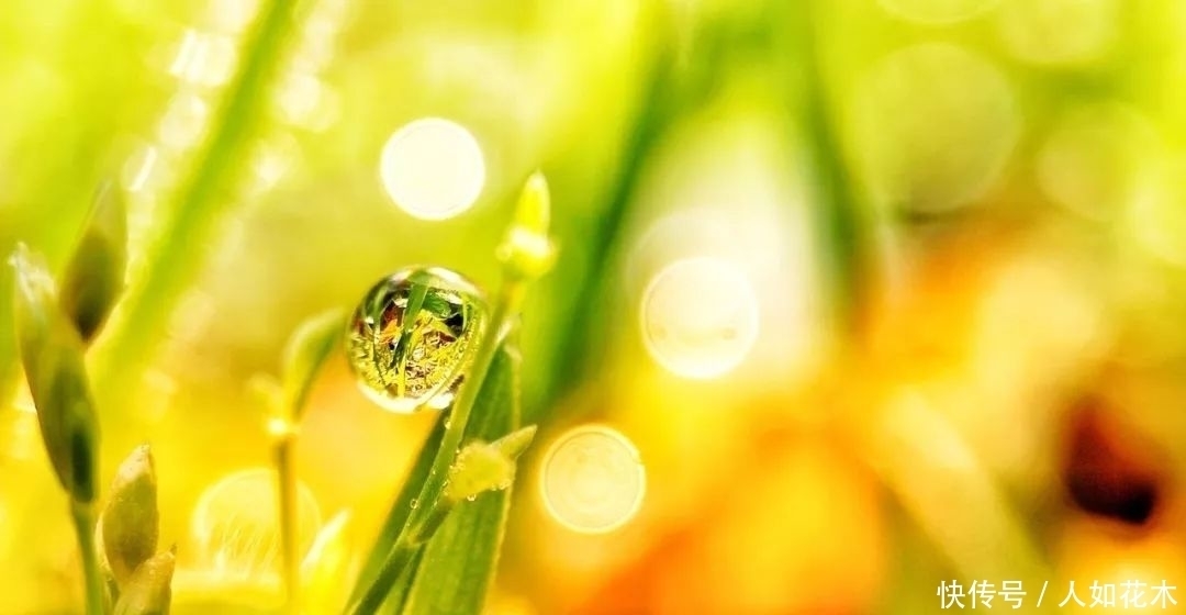 万物|立春丨听一曲古琴演奏《春风》万物知春,和风淡荡