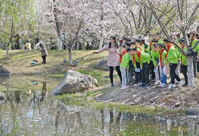 “生态向学”在行动 解锁玄武湖中的生态文明