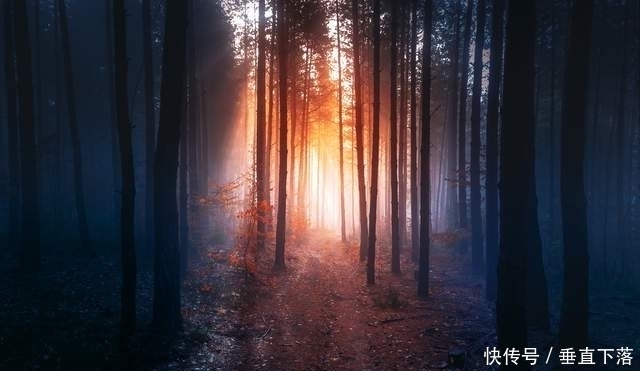 每个人都有量子纠缠的另一个自己，你找到了吗？