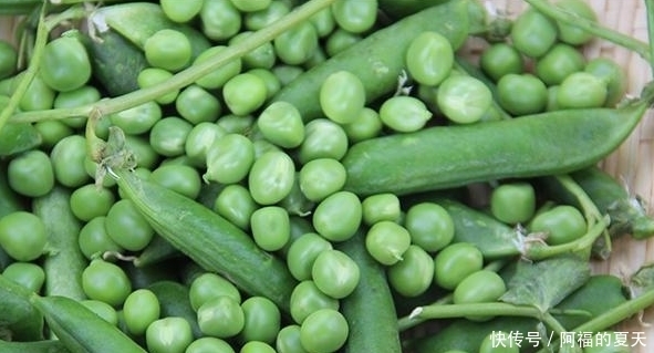 黑米黑米|一白遮百丑！女人常吃4种食物，坚持一个月，皮肤越变越通透白皙