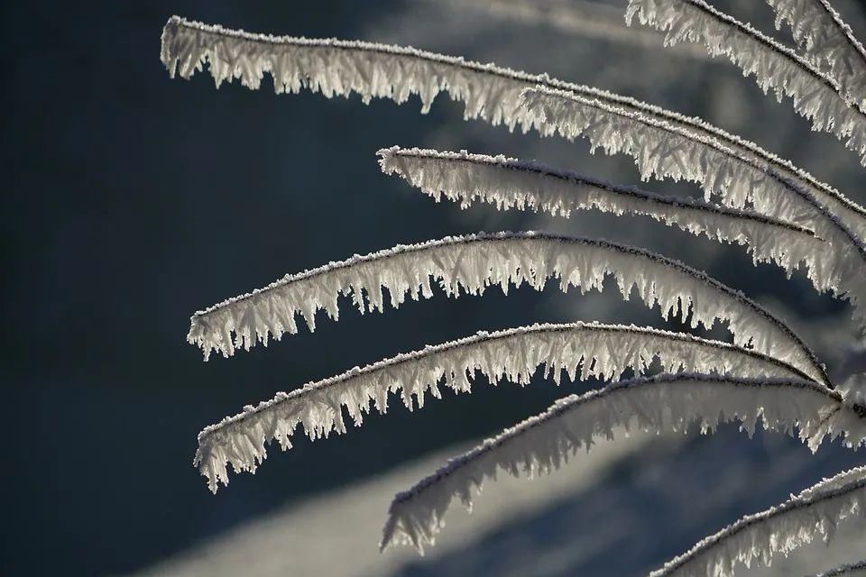 冬夜对雪忆胡居士家