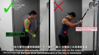 肌头|手臂太细怎么练掌握这3点,“肱三头轰炸”练出麒麟臂