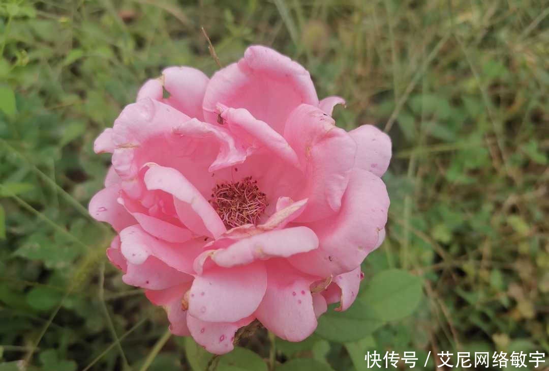 道德品质|曾国藩:自修之道莫难于养心,重读经典求得大悔大悟