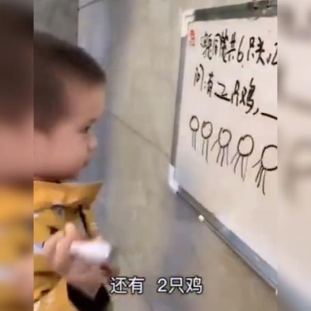 男童|3岁男童妙解“鸡兔同笼”问题获高赞,网友这都是别人家的娃