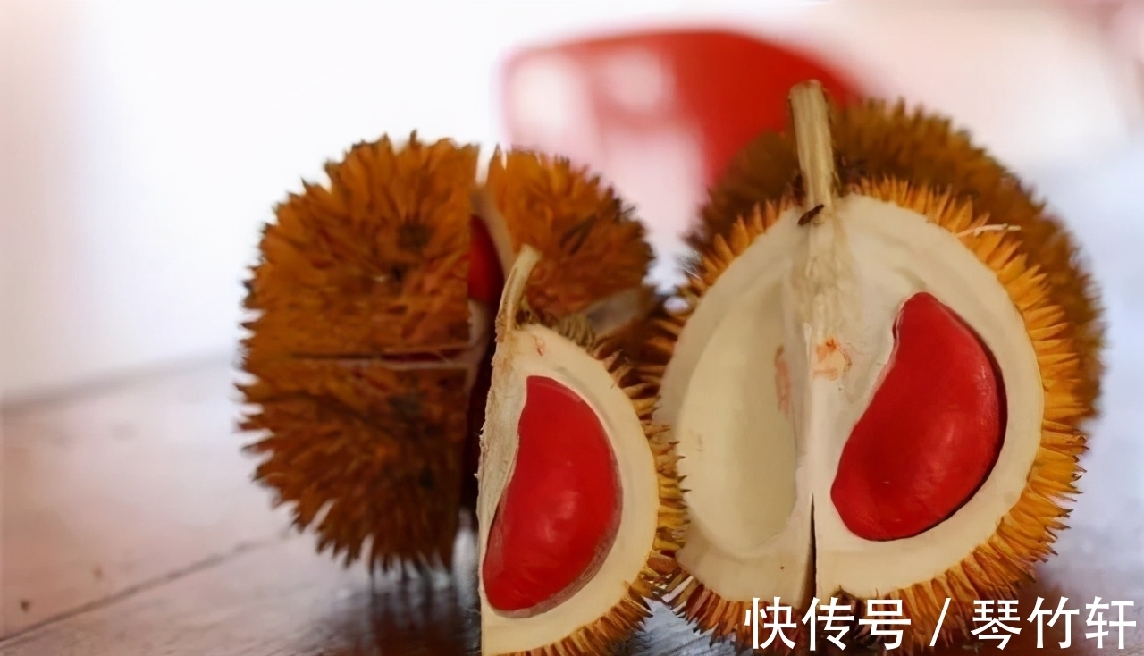 科普|每日科普：趣味冷知识分享（十二）奇怪的知识又增加啦！