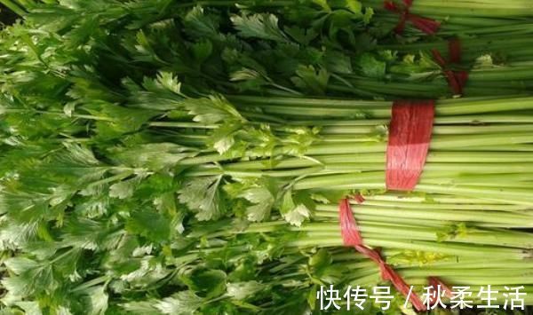 健康|阳气不足百病生不妨多吃4种食物，补充阳气，利于身体的健康