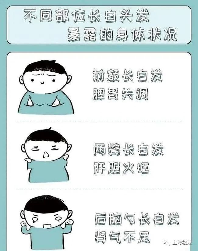 少阳|有白头发怎么办？这些方法可以改善→