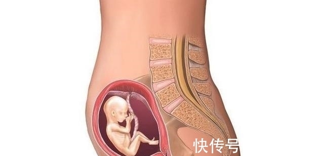 浮肿|怀孕第四个月了,一般会有什么不适吗,怎么处理?