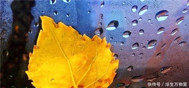 韩信|老实人,牢记这两条“人情世故”,也可以游刃有余