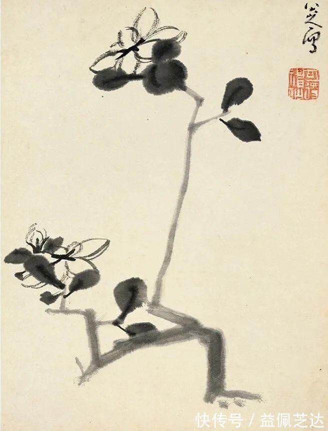 笔墨|这组册页比较全面的展现了八大山人的笔墨情怀,有山水、花鸟…