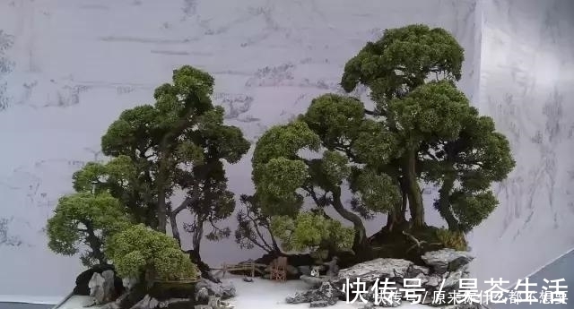 盆栽|世界上又一奢侈品《盆栽》一盆就是一座房子!