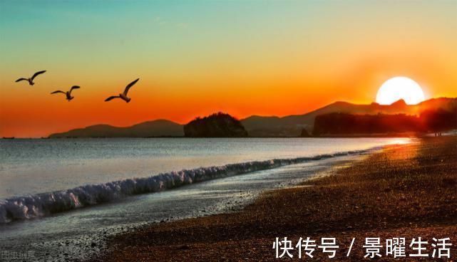 史上最强赘婿&四本智多近乎妖的经典小说,不小白不烂尾,看一眼就忍不住沉沦