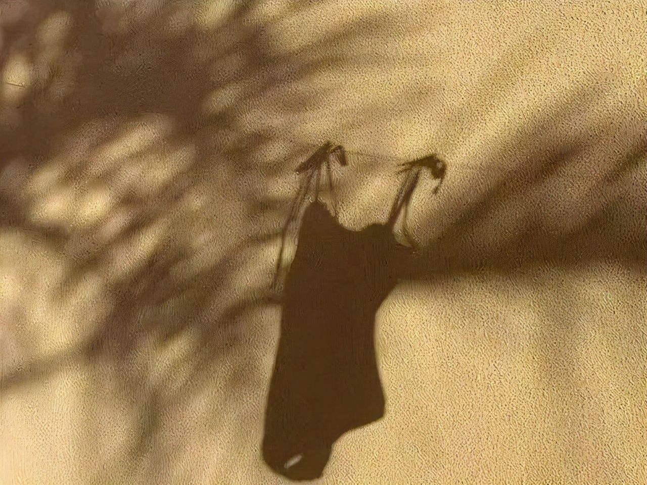 女生|胸大=艳俗?大胸女生该如何穿出高级感?