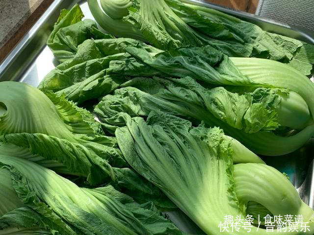 每年秋天,奶奶都这样腌上一缸酸菜,不发霉不怕烂,放一年都不坏