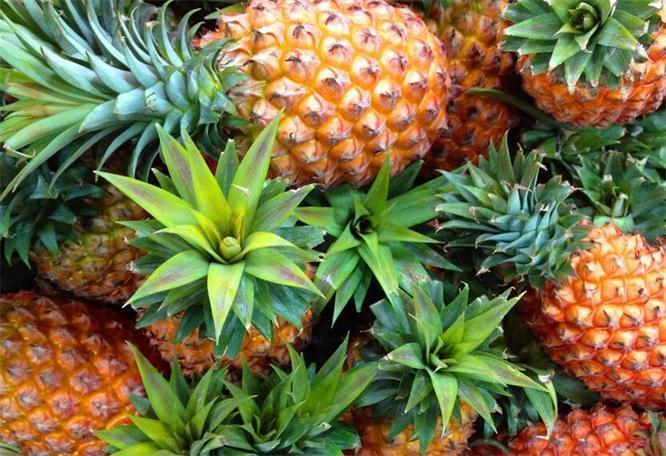 菠萝|人到中年不得已，3种食物多吃点，补血益气，滋养身体，好处多多