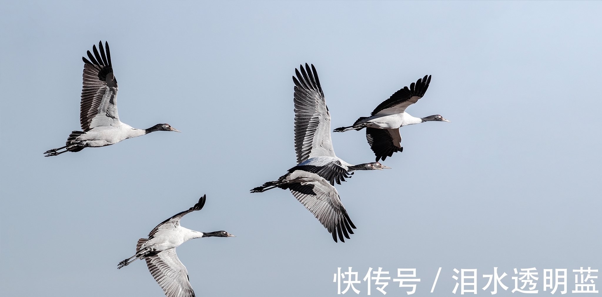 天底下$老子:道是老子的核心思想,这就要求我们,凡事都应遵循道的规律