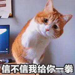 4块钱的美妆小物，连专业化妆师都在用