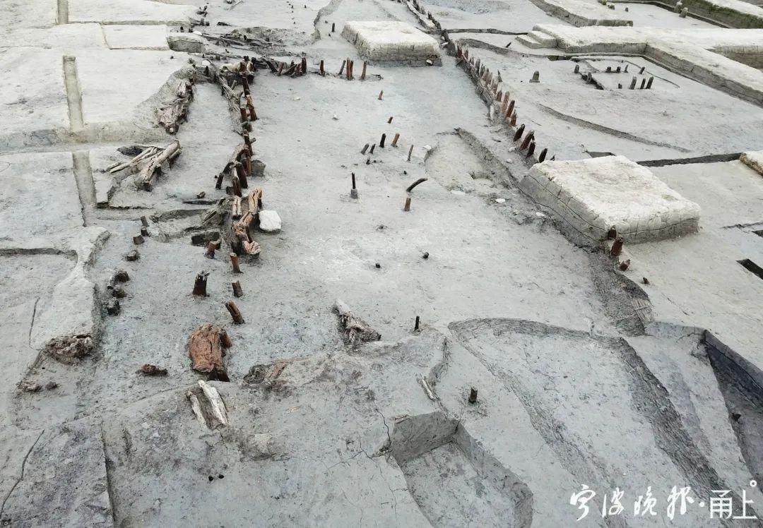  2号护岸|罕见！宁波又有重大发现！