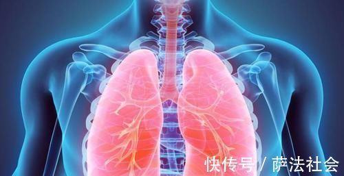 润肺|天然“养肺”的5种食物，每天换着吃，润肺解毒，让肺更健康