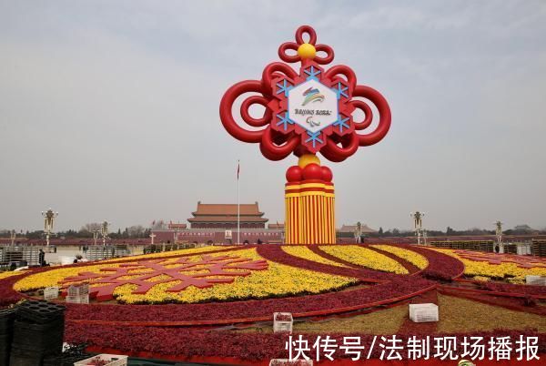花卉|冬残奥主题花坛!8万株耐寒花卉亮相天安门广场