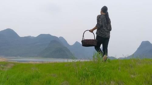 你那有人吃這種野菜嗎？學名龍葵草，土話叫白花菜，你那叫啥？