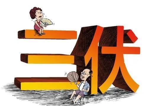 中伏|头伏、中伏、末伏哪个伏最热,究竟是为什么呢?看完后,长知识了
