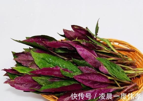 西葫芦|这7种蔬菜建议大家少吃,不妨看一下,有没有你喜欢吃的