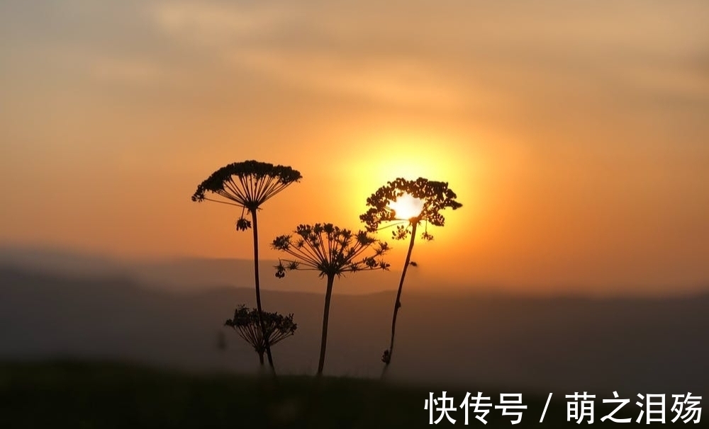 唐·杜牧#杜牧旅途中独宿旅馆,失眠时写下一首诗,尾联空灵静美