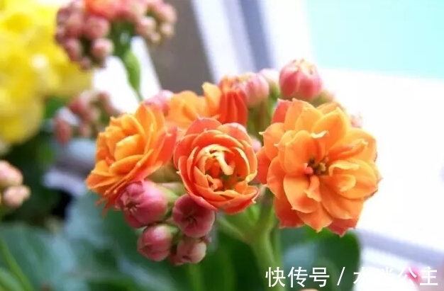 心扉|10月份,幸运满满,桃花满满,打开心扉,感情稳定,生活越来越好