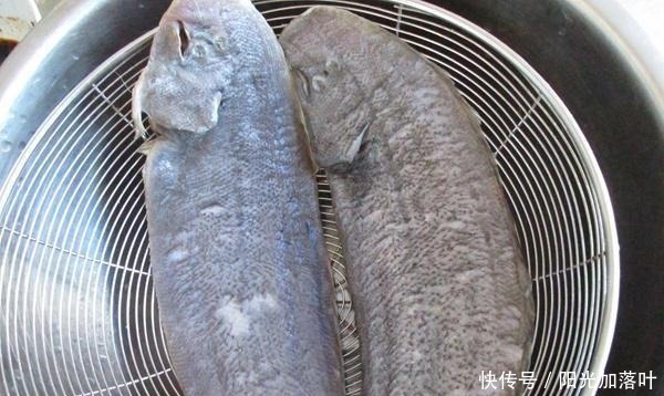 不粘锅|煎鱼时,不要直接用油煎,再加1步“它”,不粘锅,还要闻