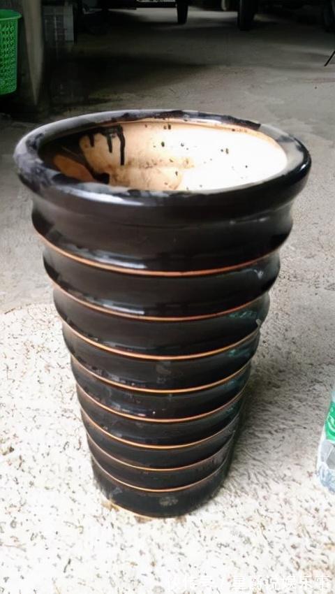 花草|6种花盆,不适合养花,难怪长势不好,扔了吧