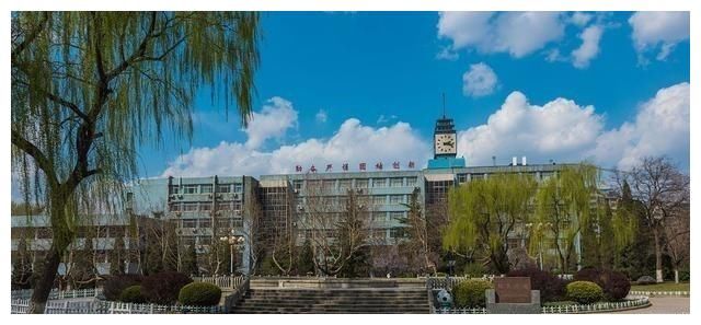 211工程|山东省好大学都在这里！3所双一流，排名前50的本科高校都有谁？