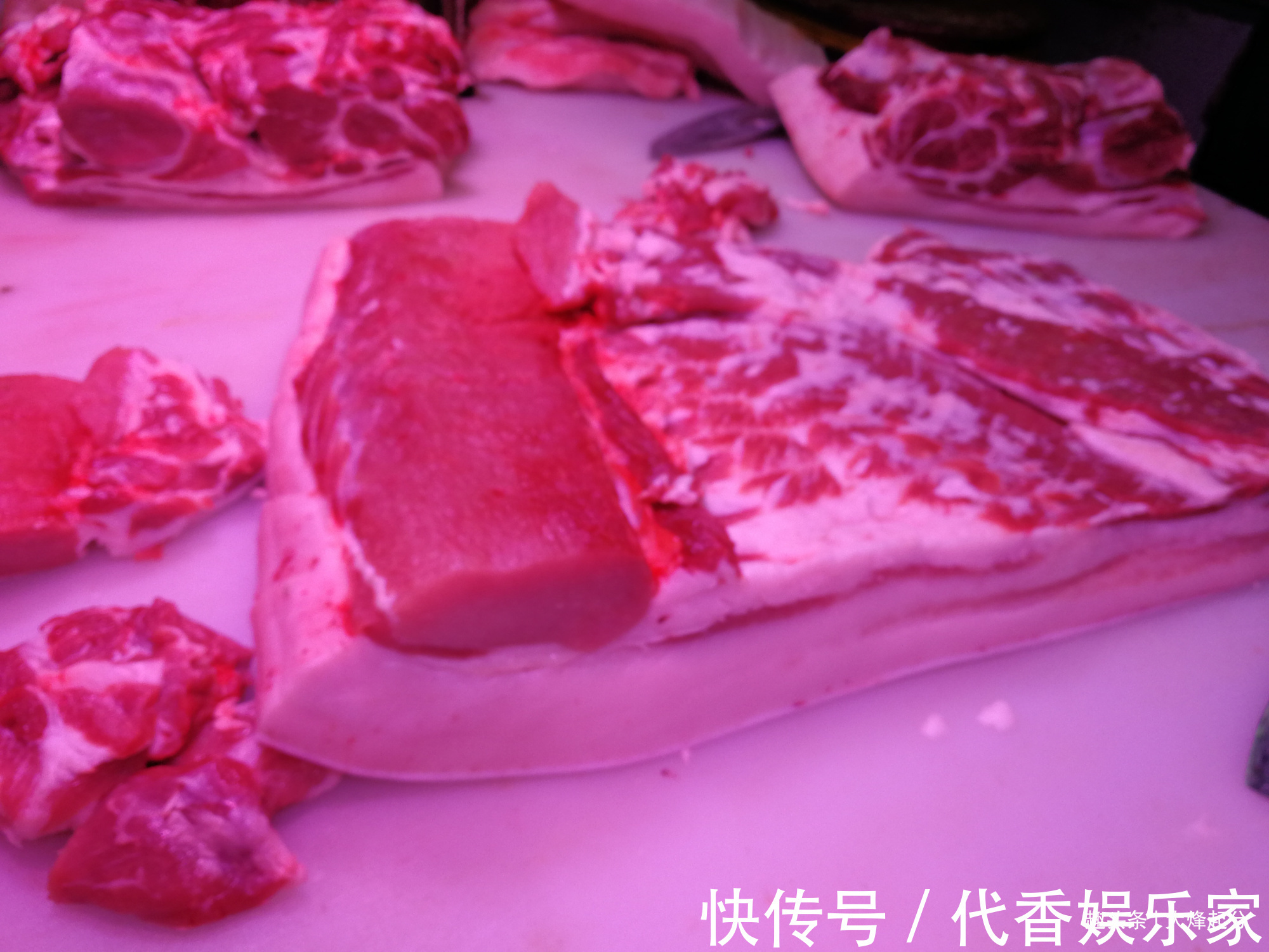 饺子馅|包猪肉馅饺子,3个错误别犯,教你正确调馅,饺子不好吃才怪