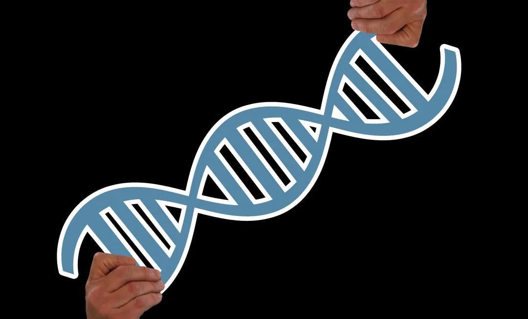 睫状肌|导致近视眼的原因是什么？到底是环境还是遗传？