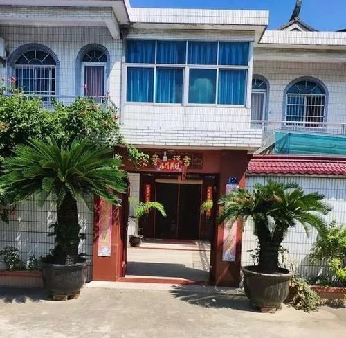 能养100年的花，养一盆成传家宝，越老越值钱！