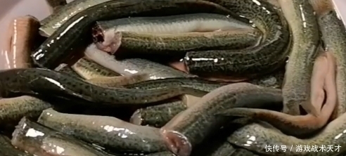 泥鳅|天然的抗菌消炎菜,做法简单,味道鲜美,嗓子疼了就吃上一盘