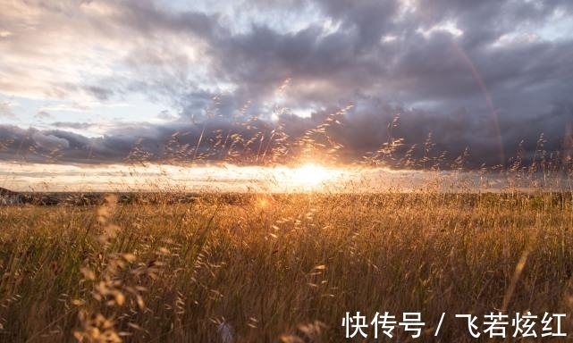 生肖狗|未来一周人生上上签，事业大吉大利，生活福如东海的三个生肖