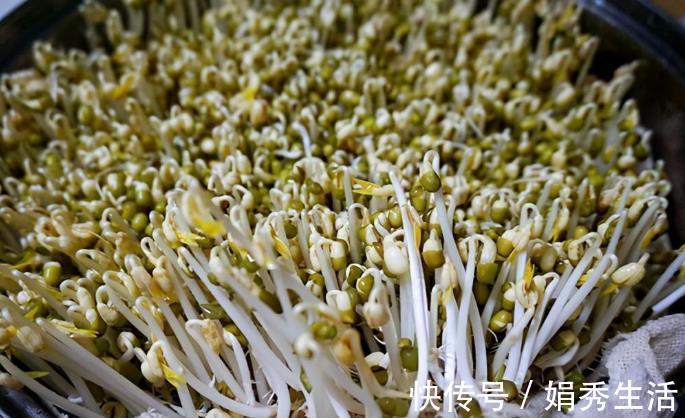 容器|在家发豆芽,4天就能吃,方法教给你,制作简单,好吃营养又卫生