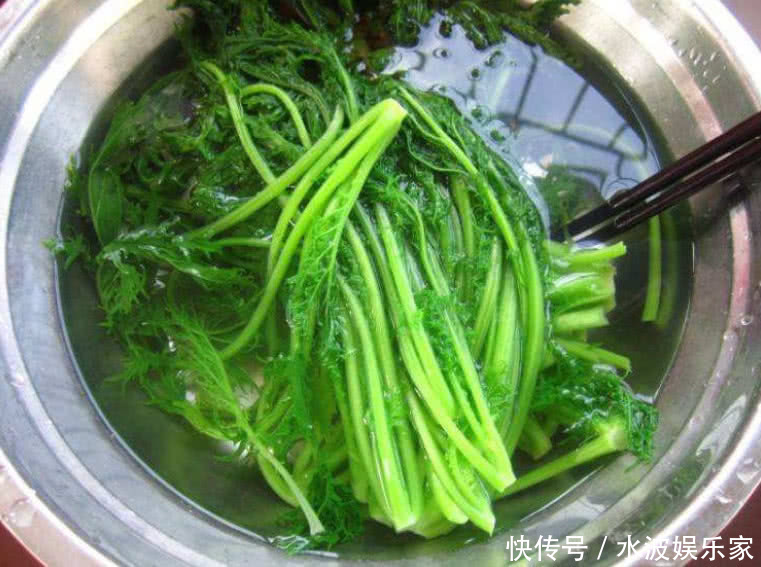 视力|天然“护眼冠军”找到了,隔三差五炒一盘,视力好了,早食早受益