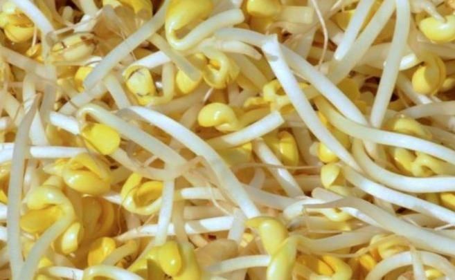 湿气|豆芽与此物一起煮，女性常吃，湿气没了，睡眠也好了！