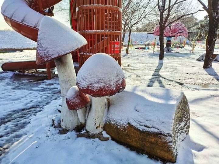 钟福生|齐鲁雪乡跑马岭景区昨晚下雪了