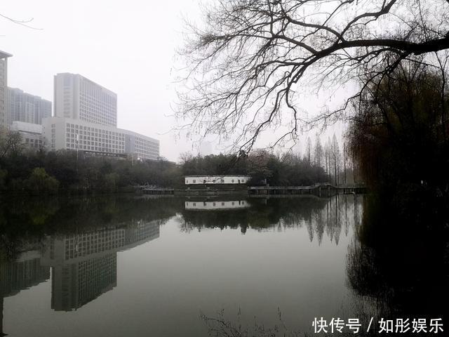 真正厉害的人,都深谙示弱之道,善于以柔克刚