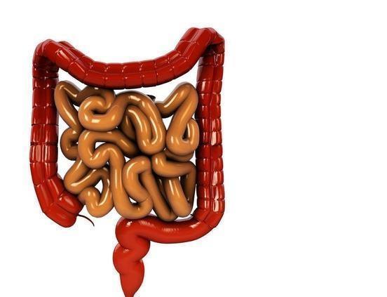 膳食纤维|肠胃不好,少做三事,多补二物,勤动三处,肠胃健康疾病少!