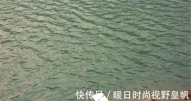 鲤鱼|夏天钓鲤鱼,这三种技巧特别重要,影响“空军”还是“爆护”