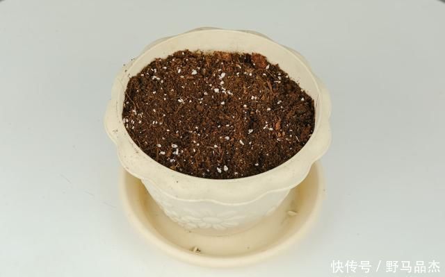 化肥|土里加点酸酸水，盆土软得像发糕，养花透气不烂根