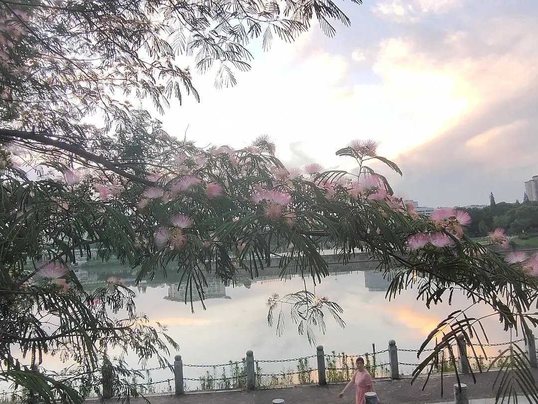 古诗|诗词丨给40首古诗加上配图,恍然大悟,惊为天人