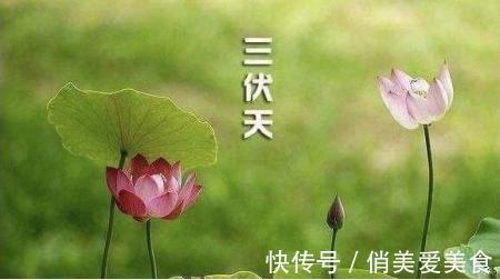 头伏|2021年的三伏天从啥时候开始?到哪天结束?共多少天?快来看看