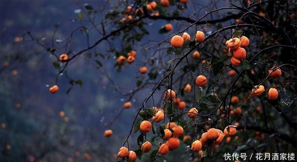 苏州太湖西山岛|苏州人的宝岛秘境,美成仙境,却被时光遗忘!