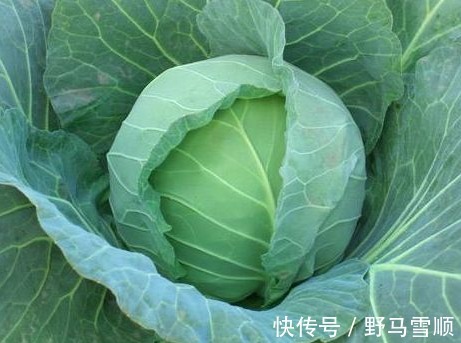 补肝|以下3种野菜能强身健体，生津补肝，降三高，值得称赞